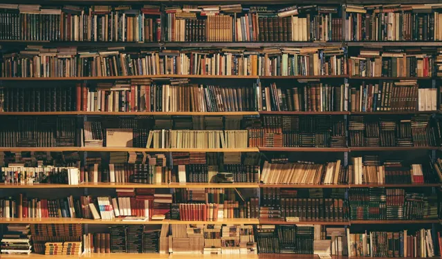 Bookshelves in a library; editorial photograph